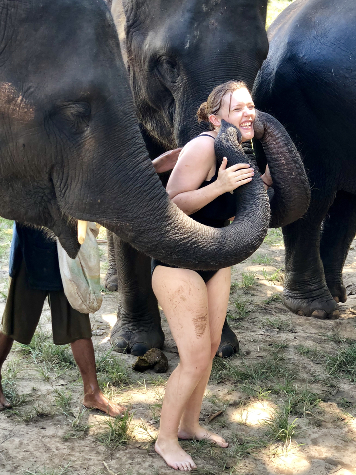Person interacting with elephants, being held by their trunks.