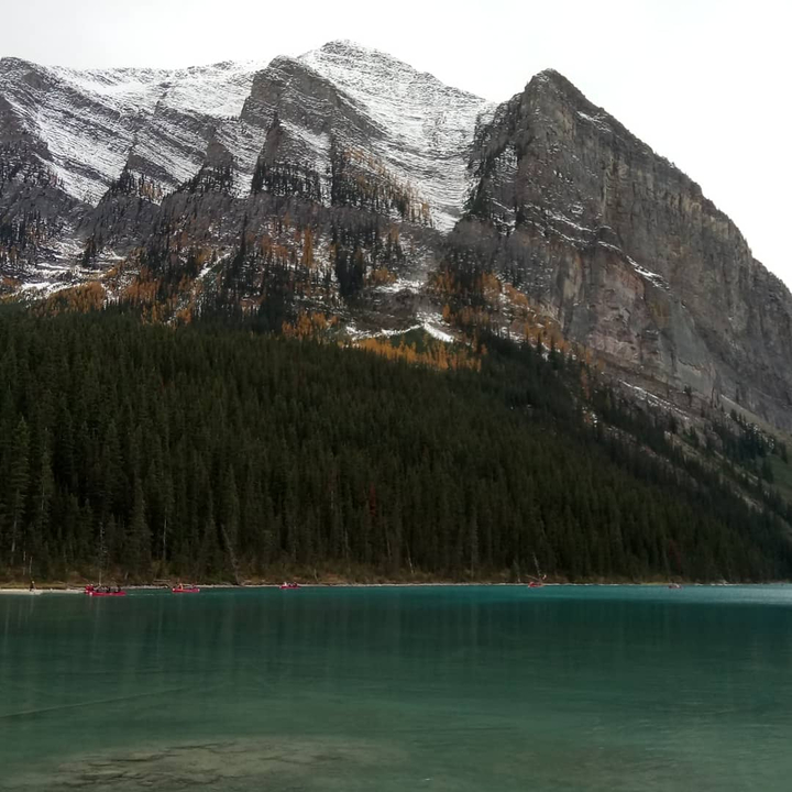 Lake surrounded by forest and mountains.