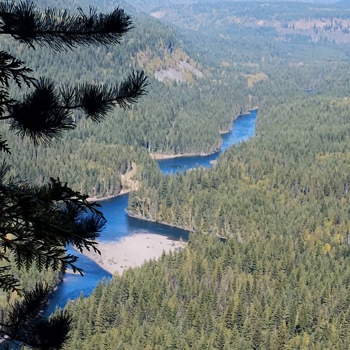 Aerial view of winding river through a forested landscape.