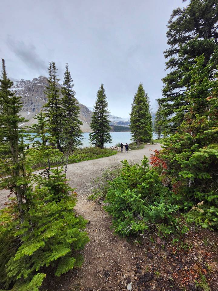 Trees framing a lake with mountains in the background.