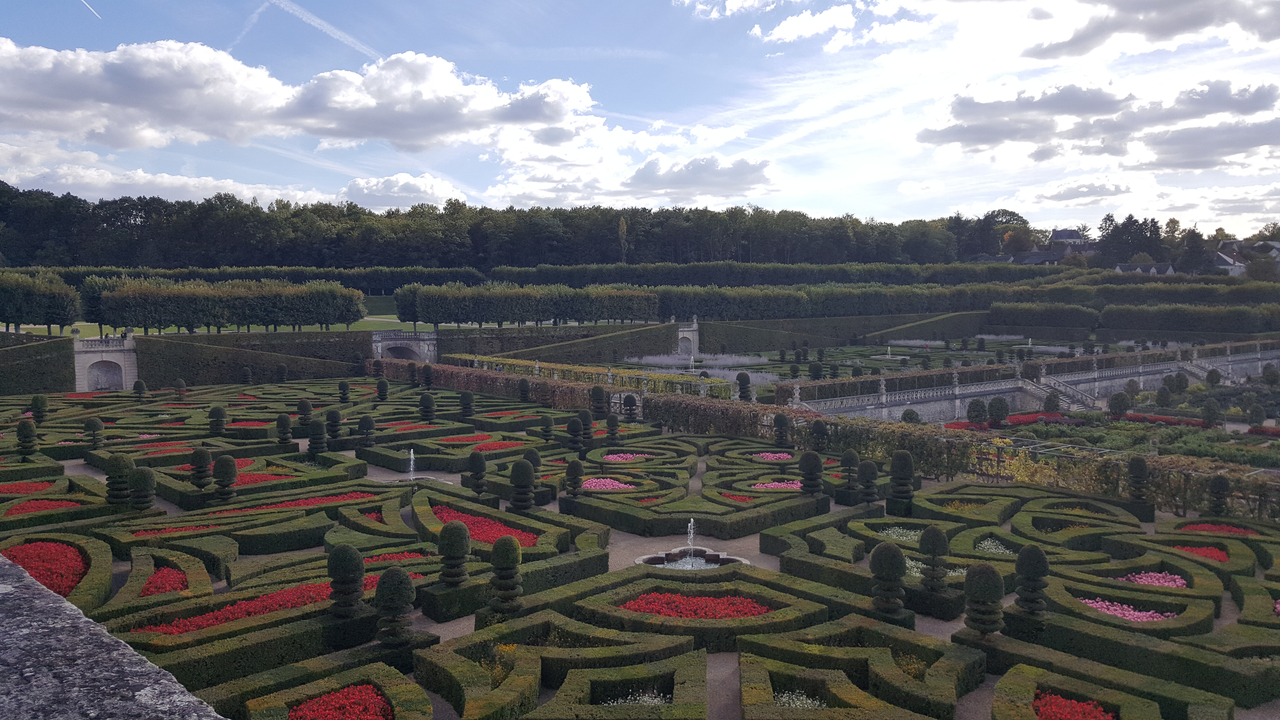 Jardin magnifiquement conçu et vibrant avec des motifs complexes.