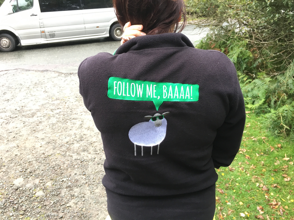 Pull-over avec un graphique humoristique de mouton et le texte « Suivez-moi, Bêêêê ».