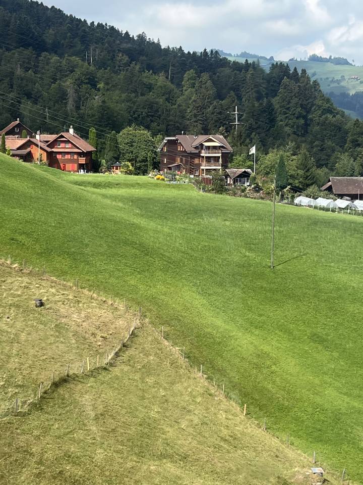 Rolling green countryside with scattered houses.