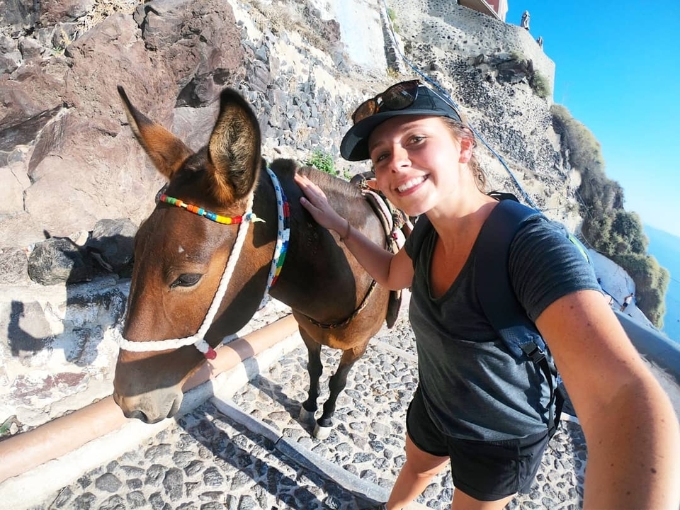 Person posing with a donkey on a stone path.