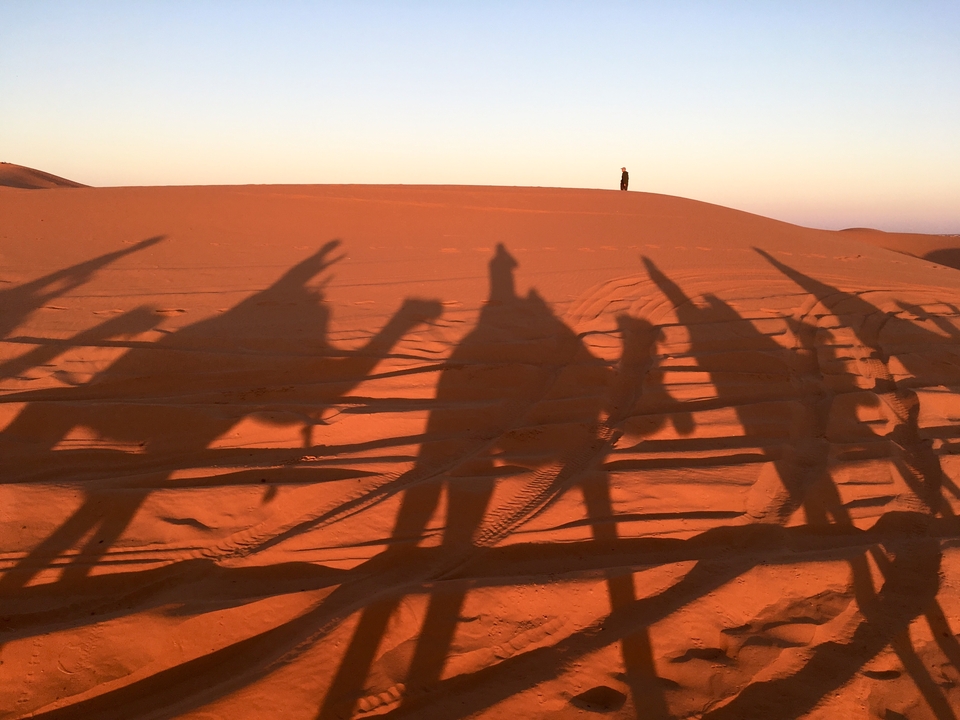 Shadows of camels cast on desert sand in the late afternoon.