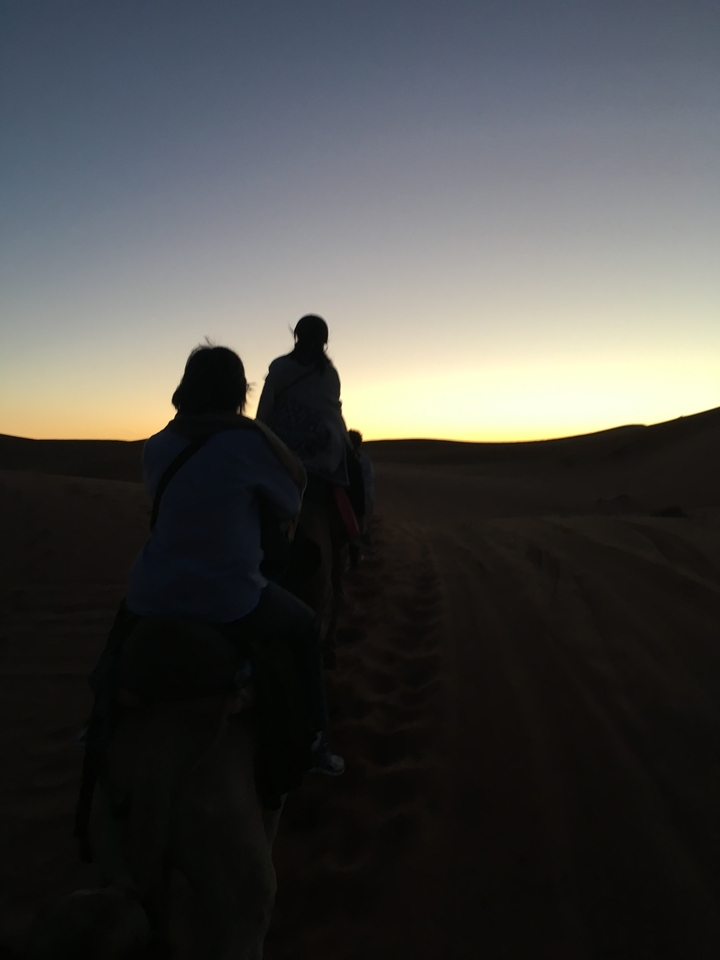 Silhouettes of people riding camels during a desert sunset.