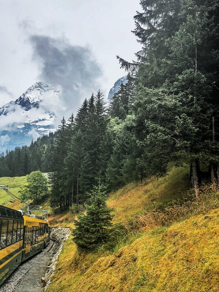 Forest and mountain landscape with cloudy sky.