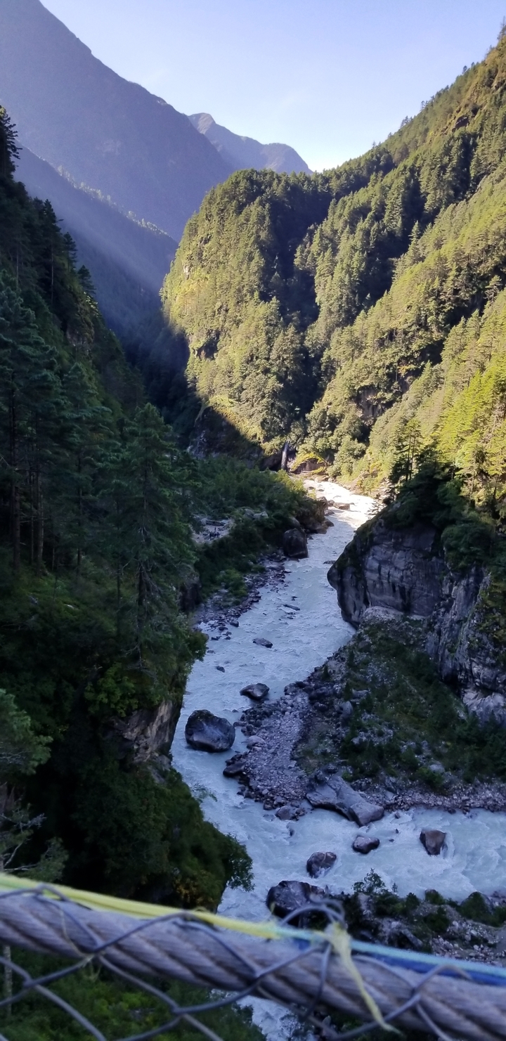 Gushing river in a forested valley under sunlight.