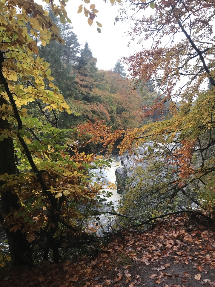 Scenic waterfall surrounded by autumn foliage.