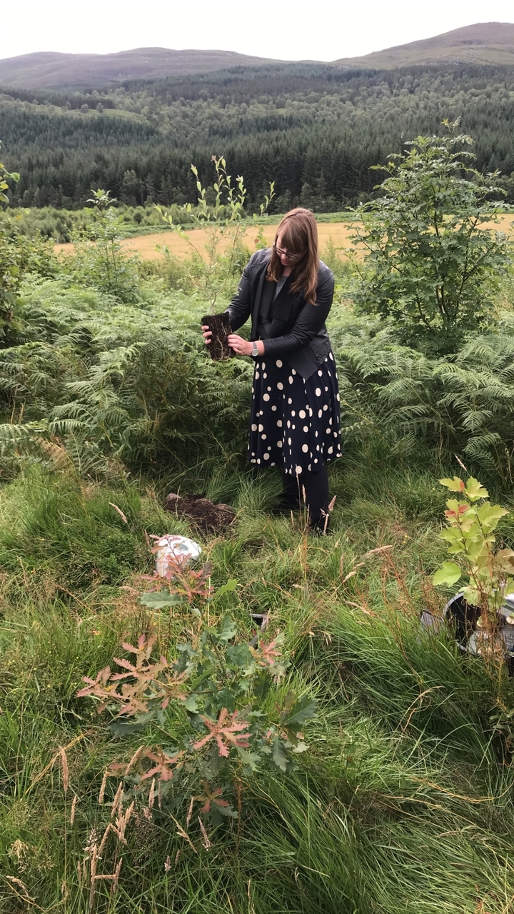 A person engaging in outdoor activity near green ferns.