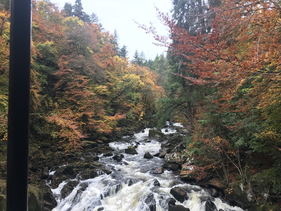 A fast-flowing river surrounded by autumn foliage.