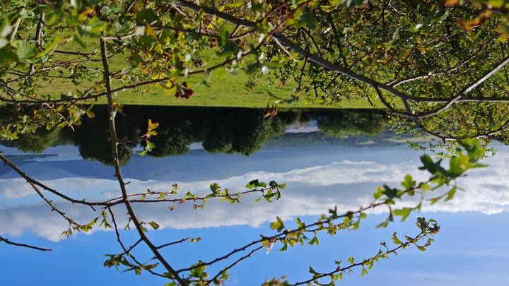 Scenic view of a field and mountains.