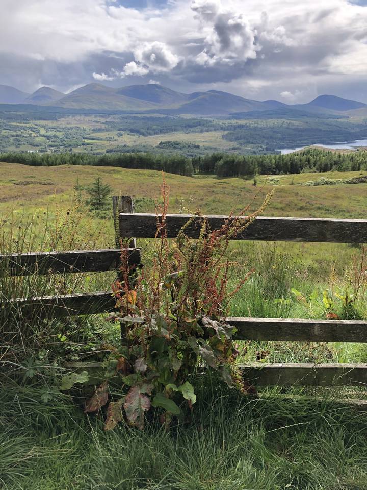 Wooden fence with vegetation overlooking hills.