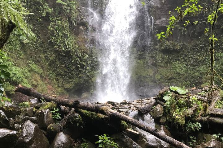 Itinerary Image 1