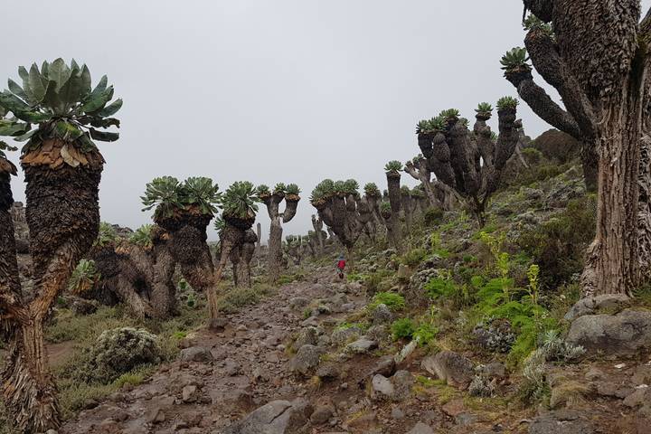 Itinerary Image 1