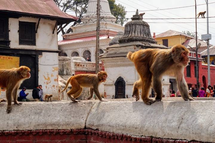 Itinerary Image 1