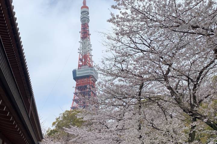 Itinerary Image 2
