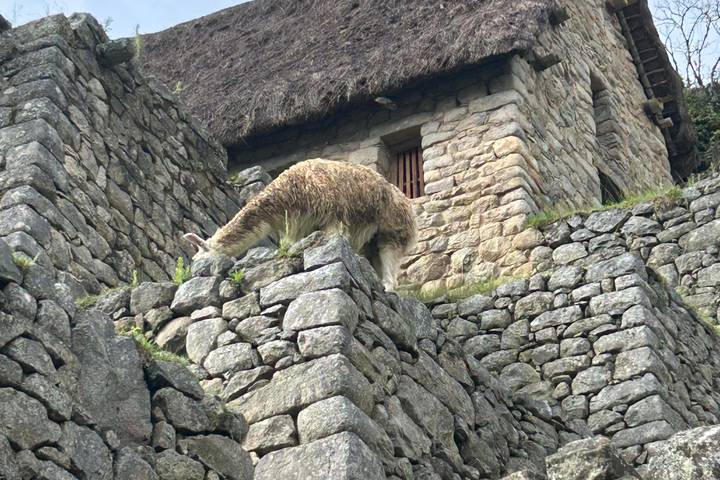 Itinerary Image 3
