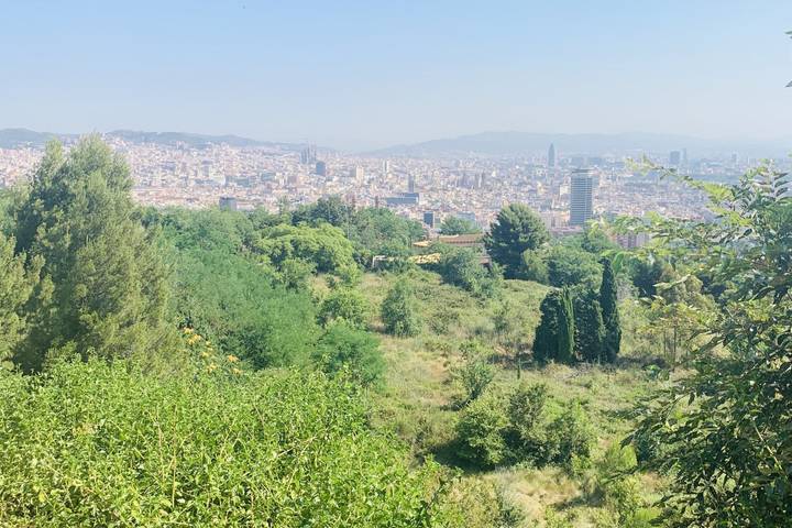 Itinerary Image 2