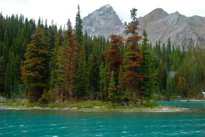 Itinerary Image 2