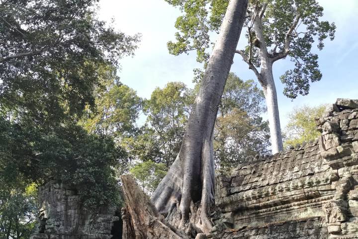 Itinerary Image 2