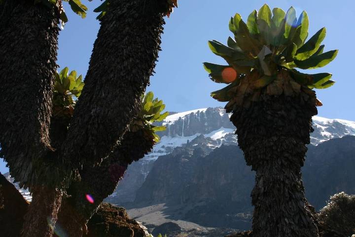 Itinerary Image 7