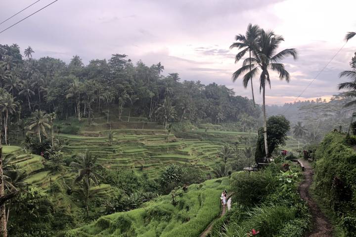 Itinerary Image 2