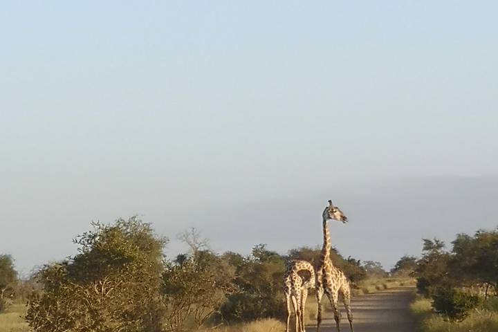 Itinerary Image 1