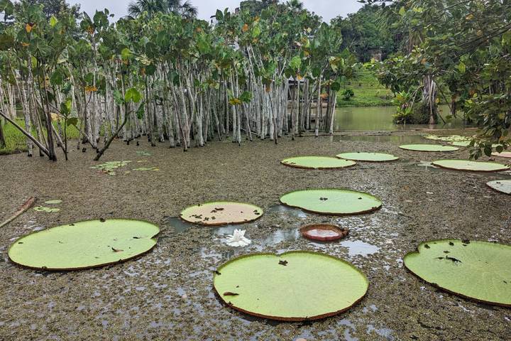 Itinerary Image 3
