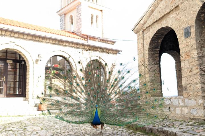 Itinerary Image 1