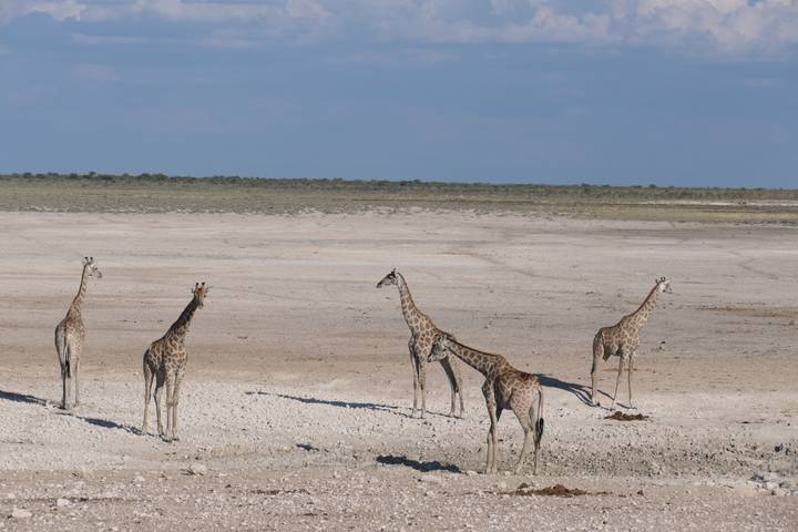 Itinerary Image 3