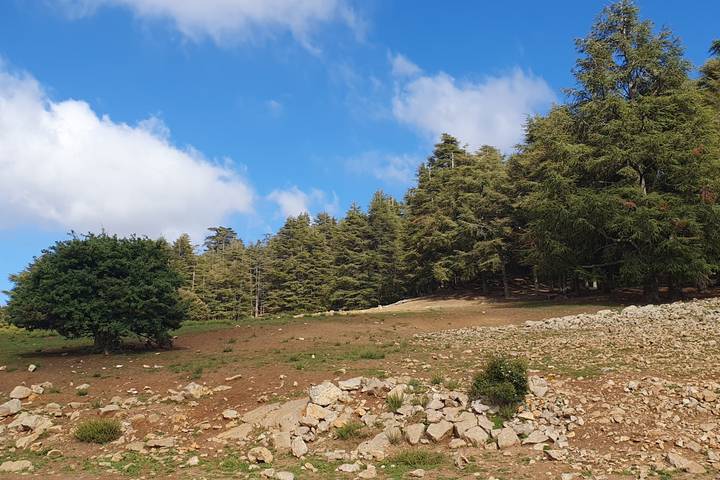Itinerary Image 3