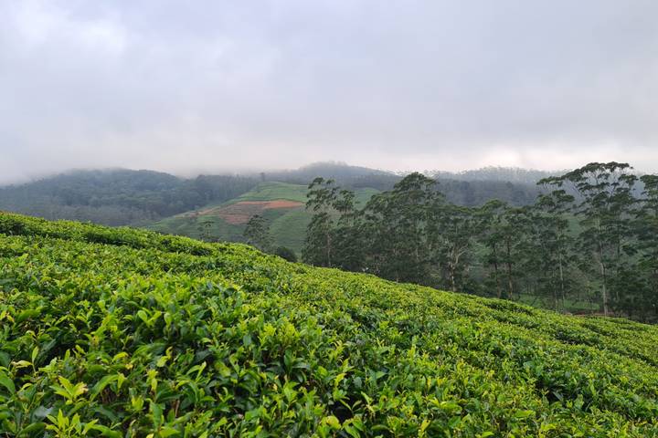 Itinerary Image 3