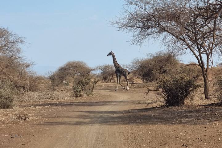 Itinerary Image 1