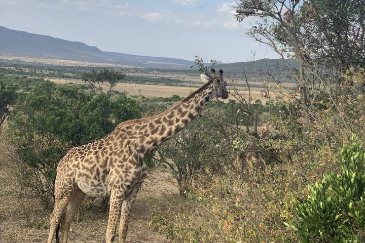 Itinerary Image 3