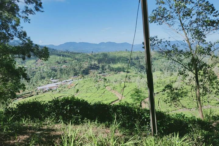 Itinerary Image 1
