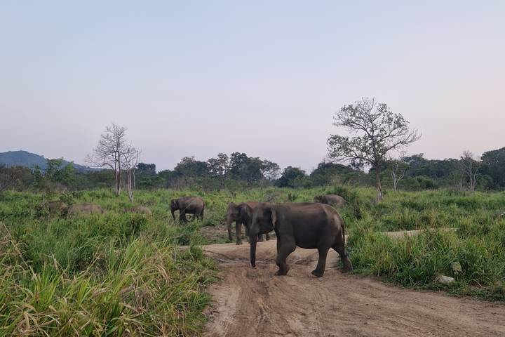 Itinerary Image 10