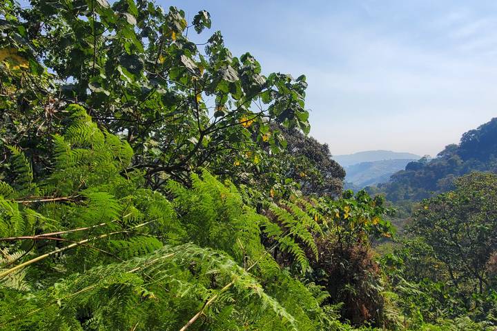 Itinerary Image 2