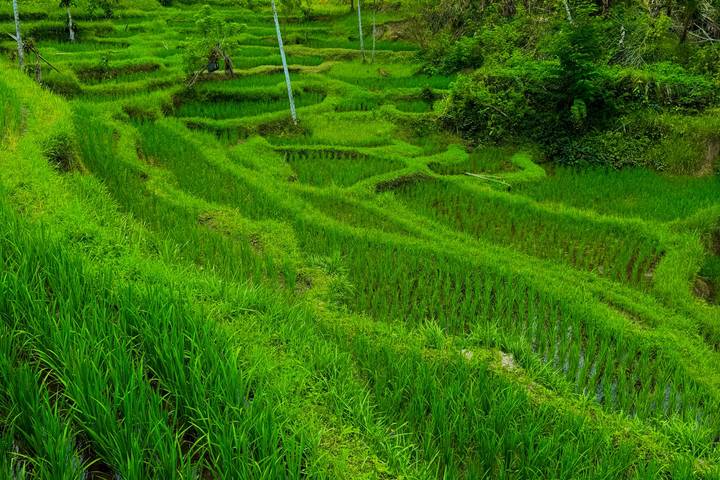 Itinerary Image 3