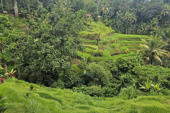 Itinerary Image 3