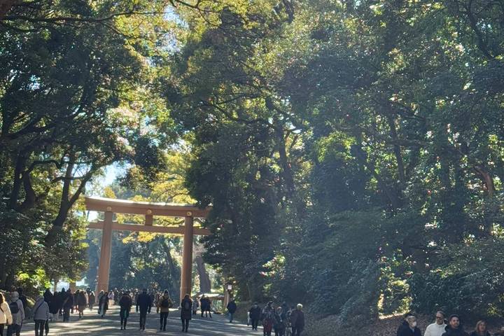 Itinerary Image 1