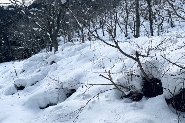 Itinerary Image 3