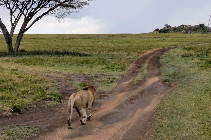 Itinerary Image 2