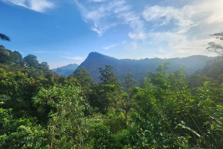 Itinerary Image 2