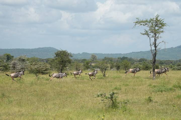 Itinerary Image 3