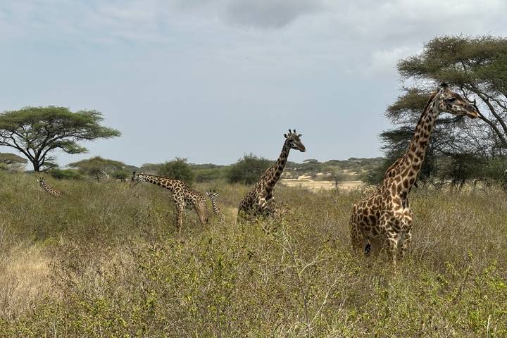 Itinerary Image 3