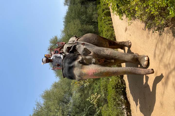 Itinerary Image 2