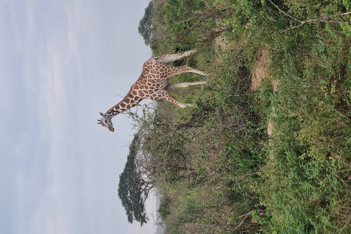 Itinerary Image 3