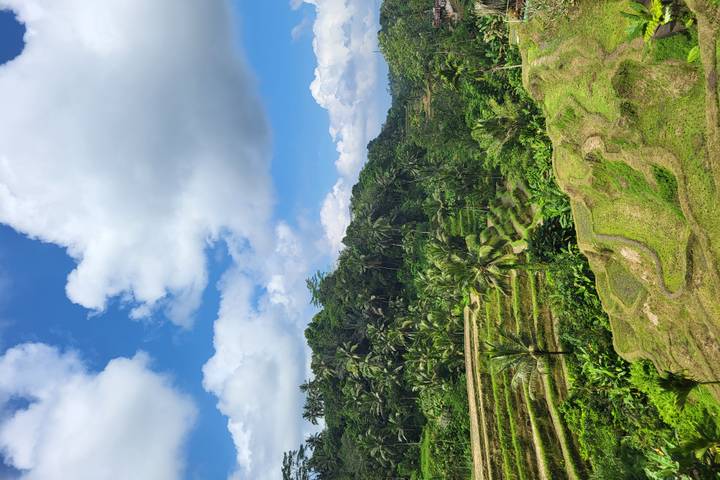 Itinerary Image 3