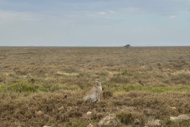 Itinerary Image 1